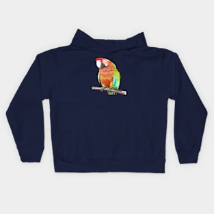 Stunning Harlequin Macaw On A Perch Vector Art Kids Hoodie